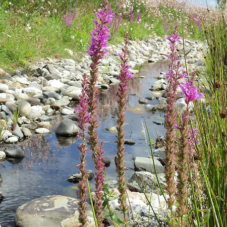 샬레 2 Calme, Piscine, Proche Jaunay - Fr-1-783-10