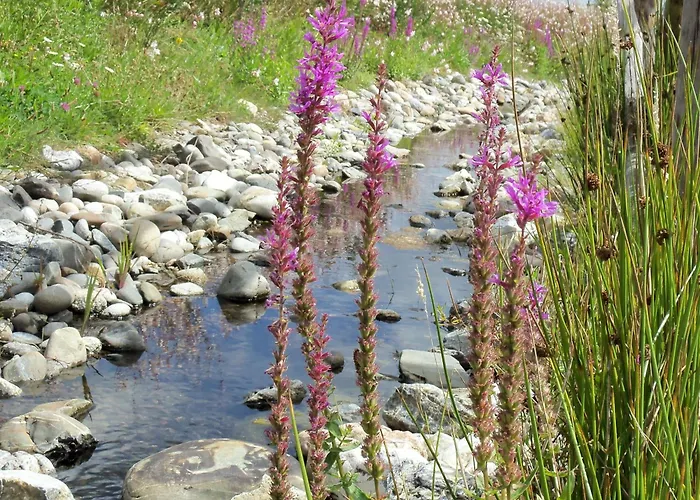 בקתה 2 Calme, Piscine, Proche Jaunay - Fr-1-783-10